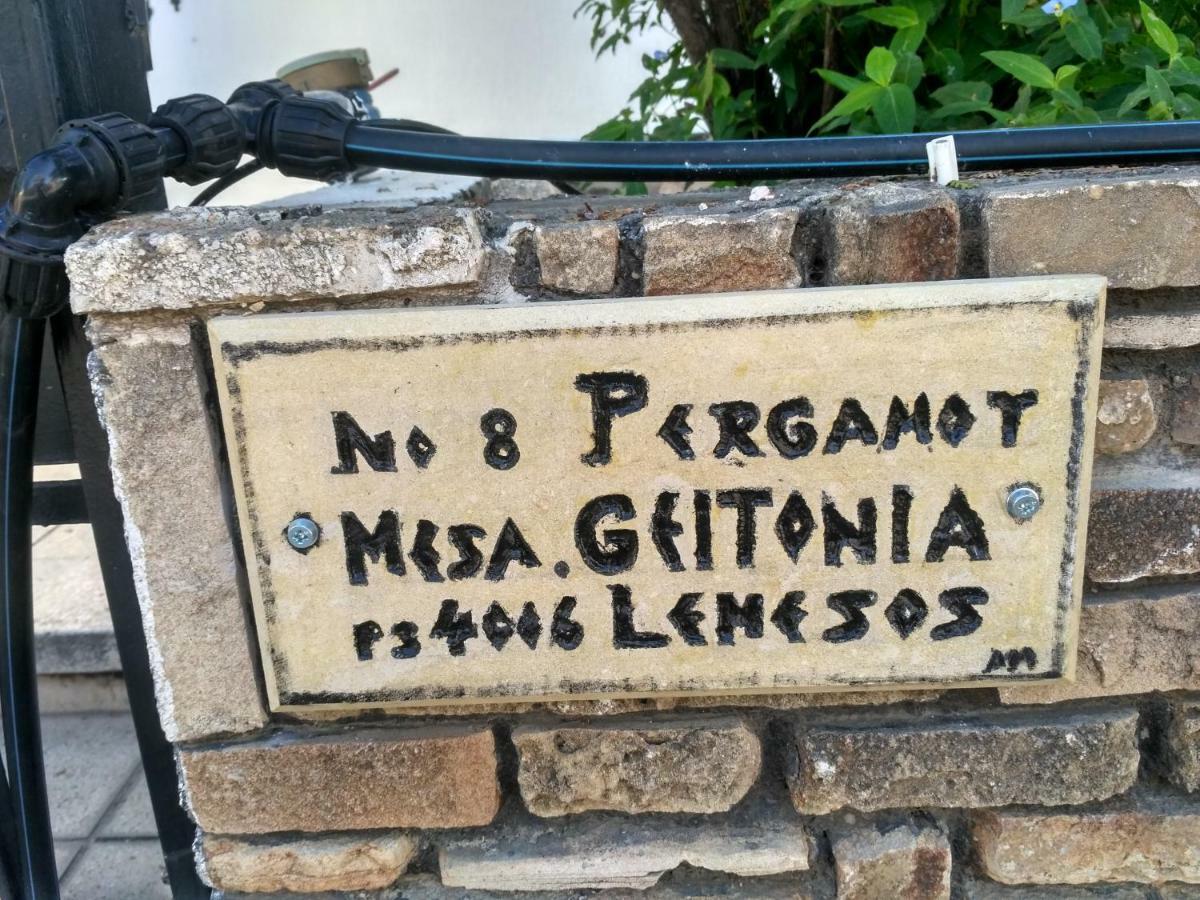 Mystery Shack Hostel Limassol Luaran gambar
